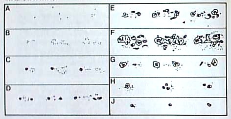 Tipos de manchas solares
