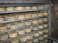 Interior de una cueva de queso cabrales