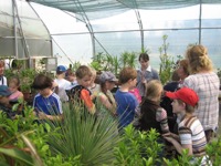 Jardín Botánico de Vilnius